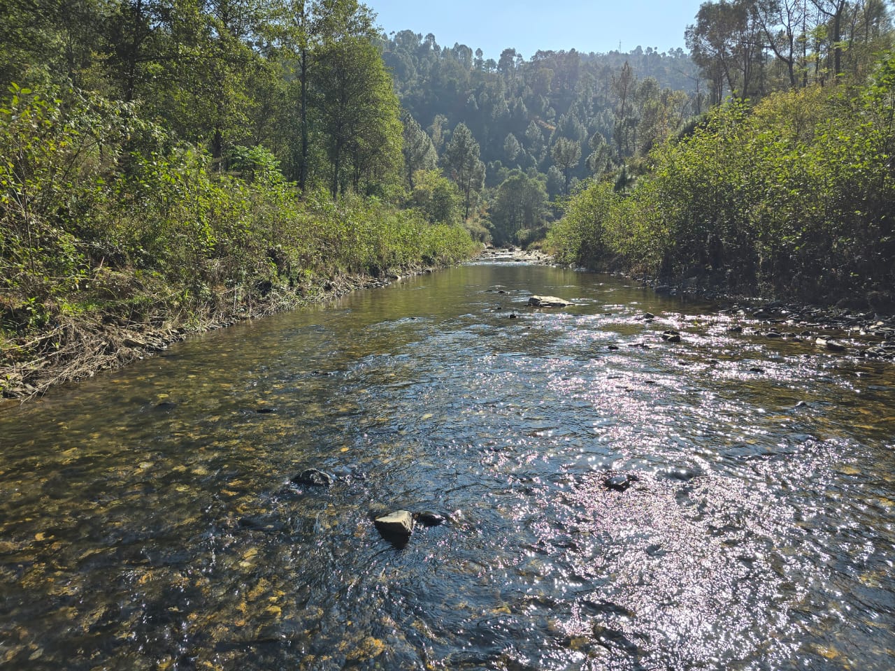 video popup bg image